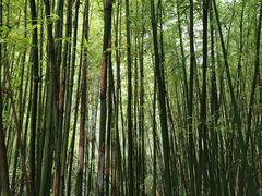 -马岭河峡谷风景区