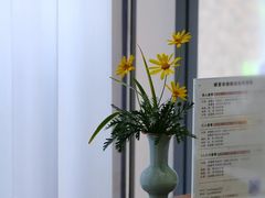 -绿雪芽白茶(浙大华家池校区凯旋路店)