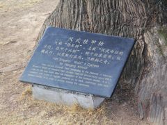 -黄帝陵