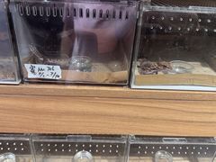 -酷以爬仙阁实体爬宠店·守宫·蜥蜴·专业繁育