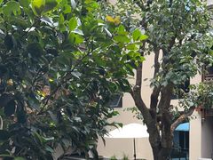 -华冠悠岚·庭院餐厅(青城后山店)