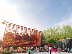 -合肥滨湖国家森林公园