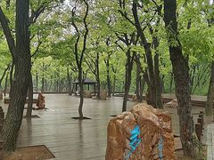 -沈阳市东陵公园