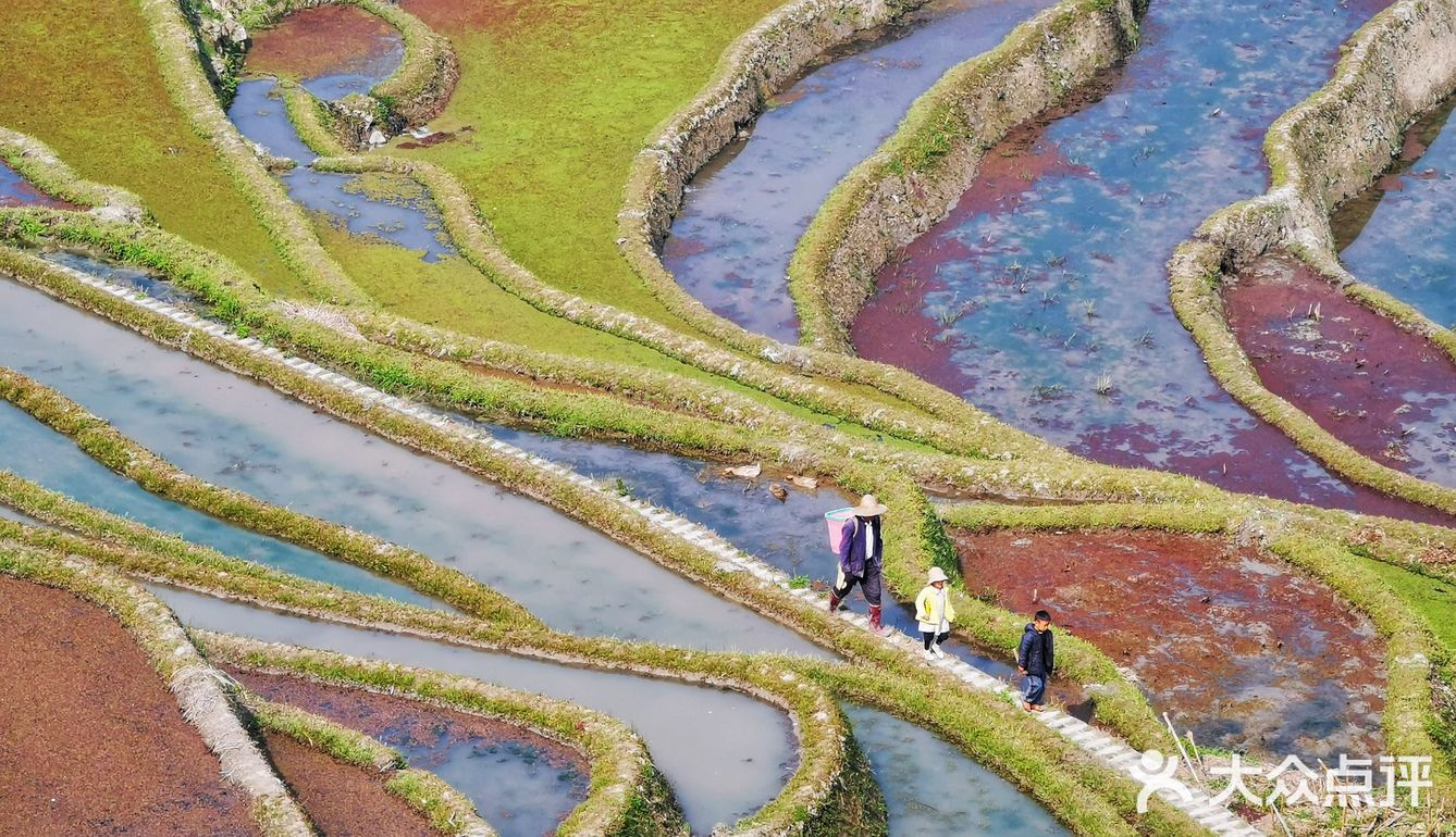元阳梯田美如画