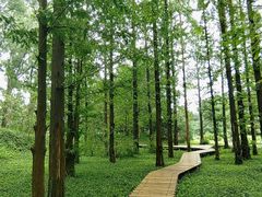 -国家植物园南园