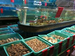 -海大大蒸汽海鲜餐厅·粤菜·特色小炒(欢乐颂店)