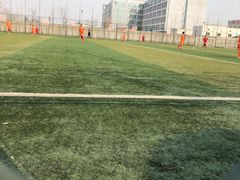 -山东鲁能乒乓球学校