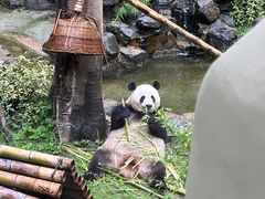 -杭州动物园
