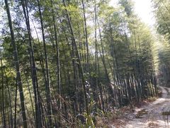 -九宫山风景区