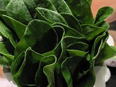 -南门四季铜锅涮肉(大屯·北苑店)