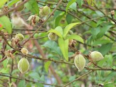 -水濂山森林公园