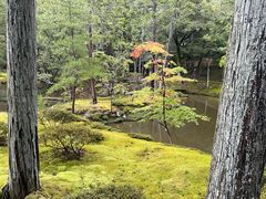 -西芳寺(苔寺)
