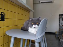 用餐区-22cafe