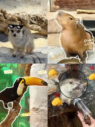 -Zoolung Zoolung动物主题公园(海信广场店)