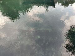 -百脉泉景区