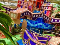 -南宫五洲植物乐园