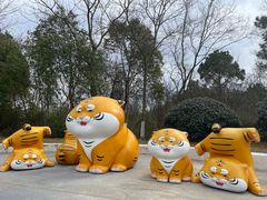 -天生桥景区