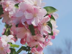 -海棠花溪(元大都城垣遗址公园)