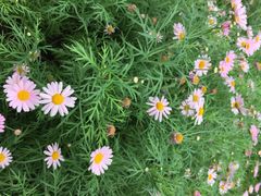 上海鲜花港-上海鲜花港