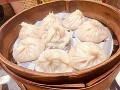 -莱莱小笼·乔艾