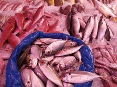 -珠光市场(文德南路)