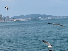 -悦海公园