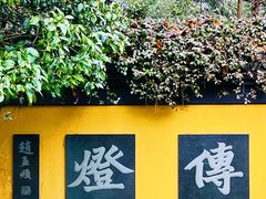 -慧因高丽寺