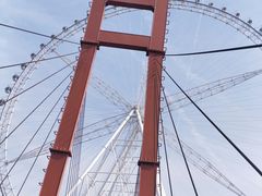 -祥源·阜阳生态乐园