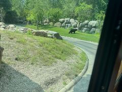 -北京野生动物园