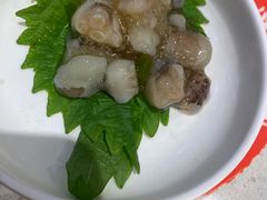 -京樽回転寿司(奥林匹克店)