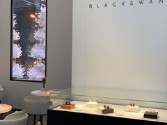 -BLACKSWAN黑天鹅(环球店)