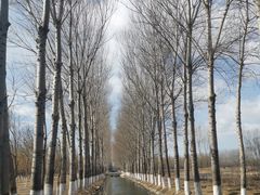 -东郊湿地公园