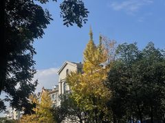 -张家湾·膳蹄(迎宾店)