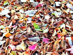 -长春公园(普阳街道)