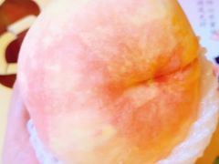 -老袁家蜜桃农场·阳山水蜜桃