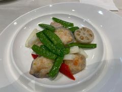 -丁老爷子苏香圆