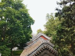 -香山公园