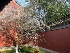 -钱王祠