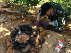 -洞背山庄(洞背院区式管理小区店)