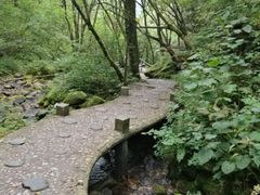 -神农架景区