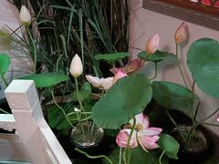 -芦月轩羊蝎子(劲松店)