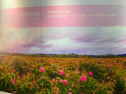 -dōTERRA多特瑞精油生活馆