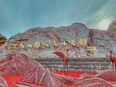 -北京西山国家森林公园