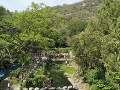-白水寺森林公园