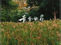 -青青世界