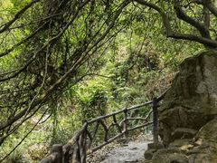 -大雁山风景区