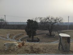 -马家湾湿地公园