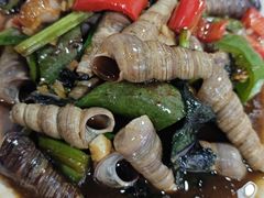 -先鲜鲫鱼粥
