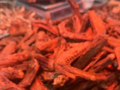 -杨震卤菜旗舰店