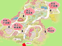 -天适樱花悠乐园